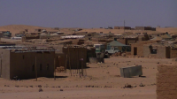 HRW : Argelia y el Polisario responsables de la persistencia de la esclavitud en Tinduf