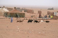 Polisario: el informe de la Unión Europea sobre la malversación haciendo arma revuelos