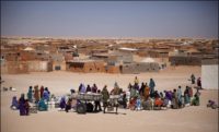 Polisario señalado por las ONG latinoamericanas por abusos en Tinduf